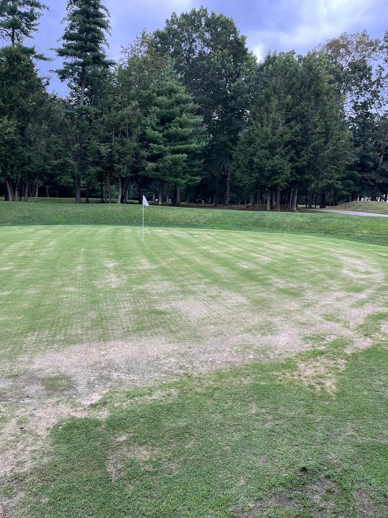 Panoramic view of a lush green golf course at Granite Fields Golf Club. Smooth