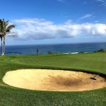 green grass with the flag in the hole.