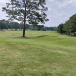 Panoramic view of a lush green golf course at Heron Lakes Country Club. Smooth