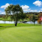 green grass with the flag in the hole.