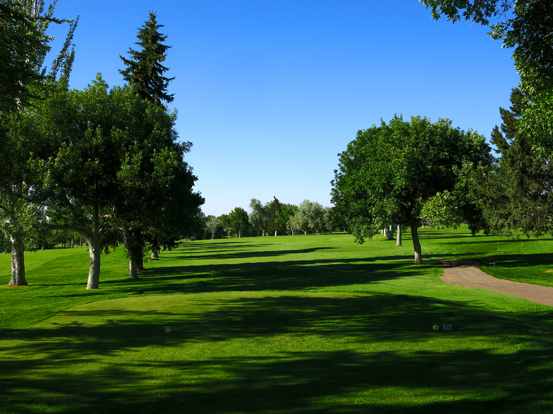 Panoramic view of a lush green golf course at Highland Golf Course. Smooth