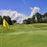 green grass with the flag in the hole.