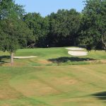 green grass with the flag in the hole.