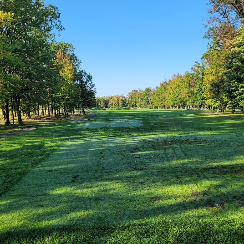 Panoramic view of a lush green golf course at Hyatt Hills Golf Complex. Smooth