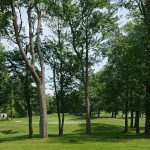 Panoramic view of a lush green golf course at Indian Ridge Country Club. Smooth