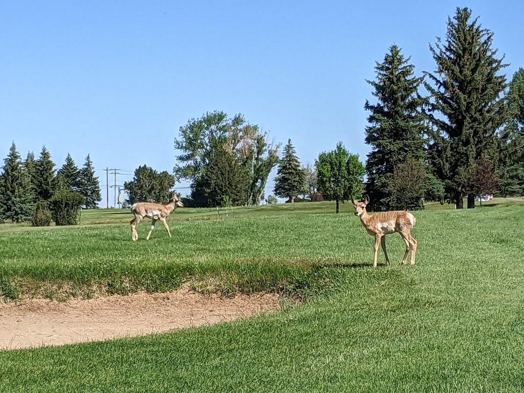 Panoramic view of a lush green golf course at Jacoby Golf Course. Smooth