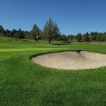 green grass with the flag in the hole.