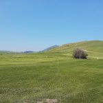 Panoramic view of a lush green golf course at Judith Shadows Golf Course. Smooth