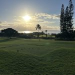 green grass with the flag in the hole.