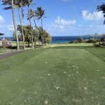 green grass with the flag in the hole.