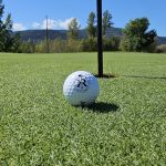 green grass with the flag in the hole.