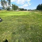 Panoramic view of a lush green golf course at King Ranch Golf Course. Smooth