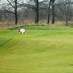 green grass with the flag in the hole.