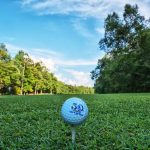 green grass with the flag in the hole.