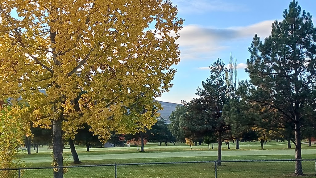 Panoramic view of a lush green golf course at Larchmont Golf Course. Smooth