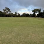 green grass with the flag in the hole.