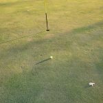green grass with the flag in the hole.