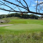 green grass with the flag in the hole.