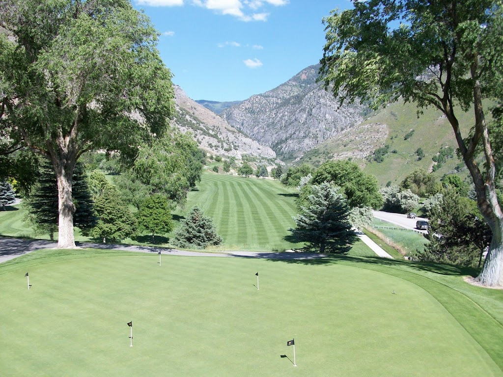 green grass with the flag in the hole.