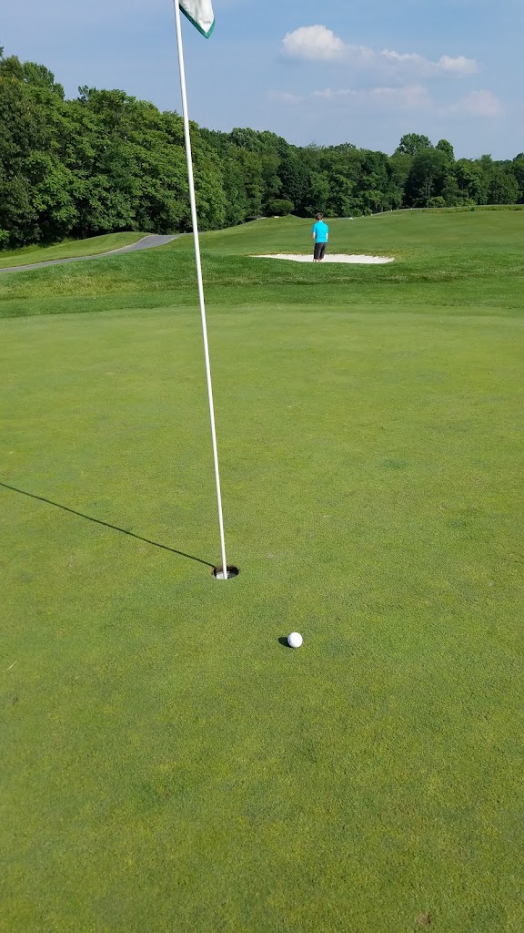 green grass with the flag in the hole.