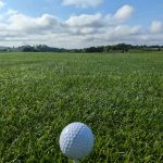 green grass with the flag in the hole.