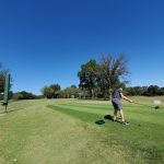 green grass with the flag in the hole.