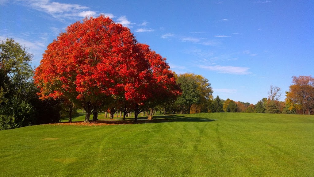 Panoramic view of a lush green golf course at Meadowbrook at Clayton. Smooth