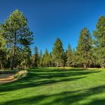 green grass with the flag in the hole.