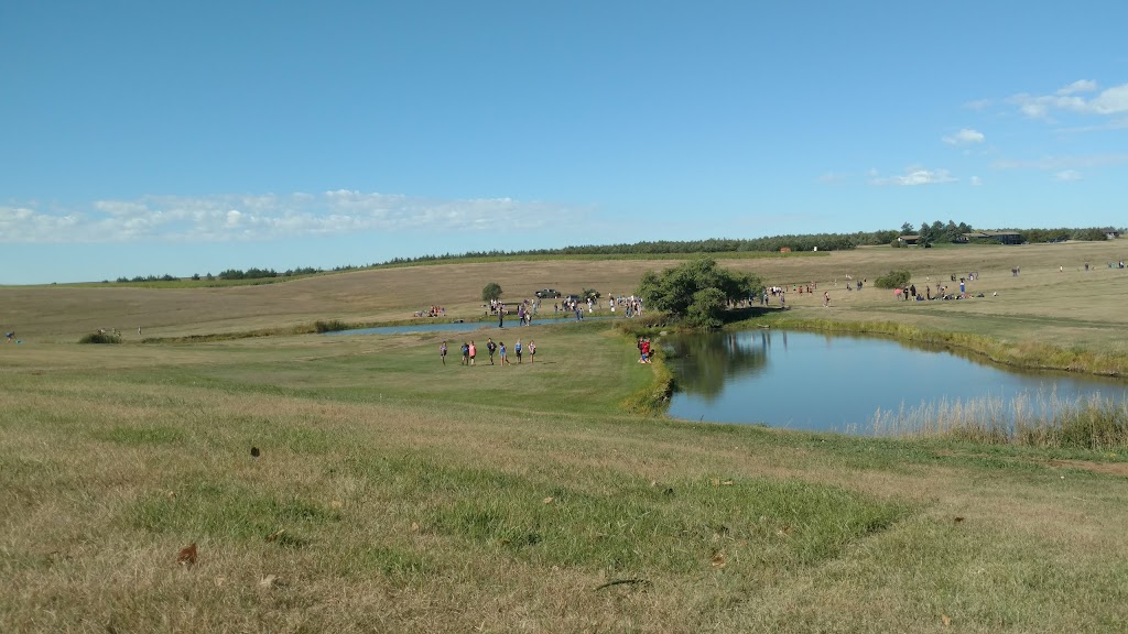 Panoramic view of a lush green golf course at Medicine Creek Golf Course. Smooth