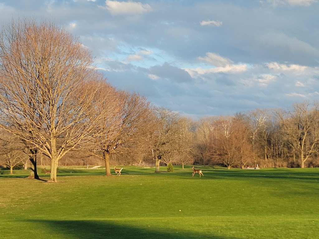 Panoramic view of a lush green golf course at Miami Shores Golf Course. Smooth