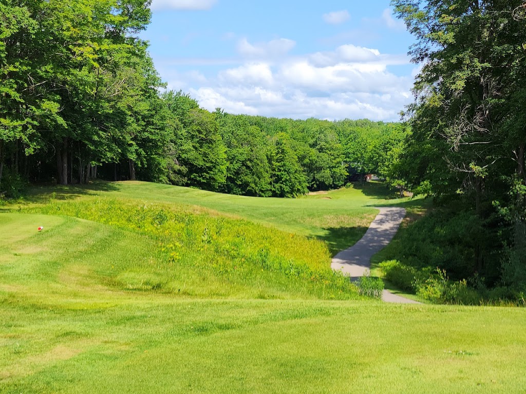 Panoramic view of a lush green golf course at Michaywe Pines Golf Course. Smooth