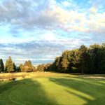 green grass with the flag in the hole.