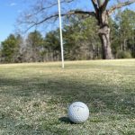 green grass with the flag in the hole.