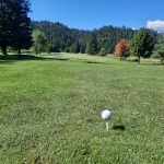 green grass with the flag in the hole.