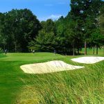 green grass with the flag in the hole.