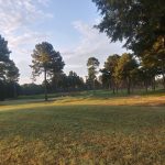 green grass with the flag in the hole.