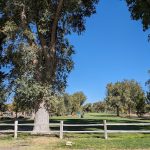 Panoramic view of a lush green golf course at North Golf Course. Smooth