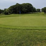 green grass with the flag in the hole.