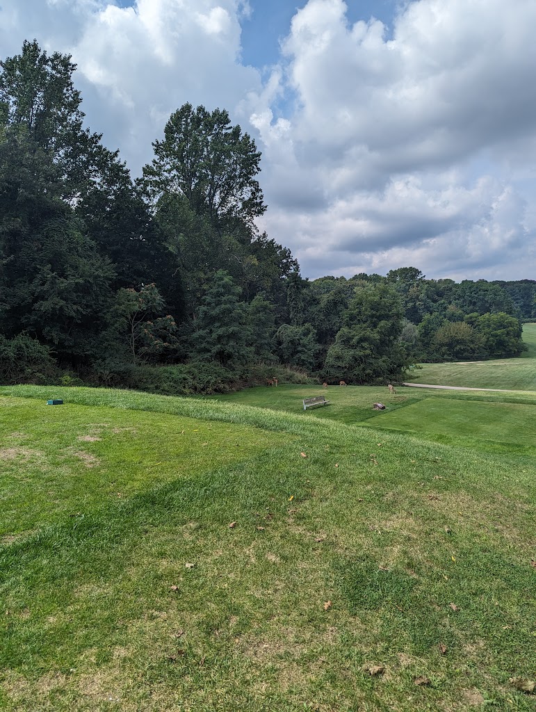 Panoramic view of a lush green golf course at Northport Golf Course. Smooth