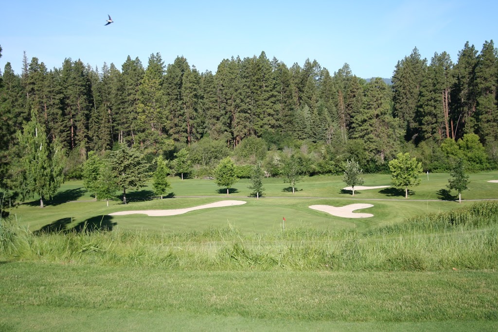 green grass with the flag in the hole.