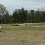 Panoramic view of a lush green golf course at Nutters Chapel Golf & Country. Smooth