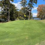 green grass with the flag in the hole.