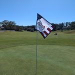 green grass with the flag in the hole.