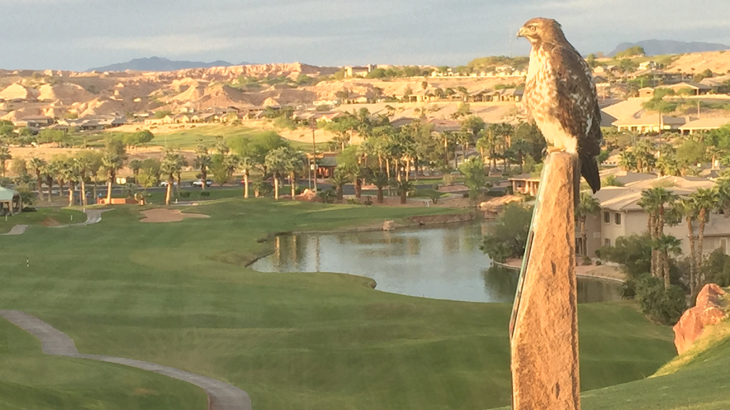 Panoramic view of a lush green golf course at Oasis Golf Club. Smooth