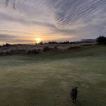 green grass with the flag in the hole.