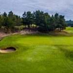 green grass with the flag in the hole.