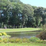 Panoramic view of a lush green golf course at Ocean Pines Golf Club. Smooth