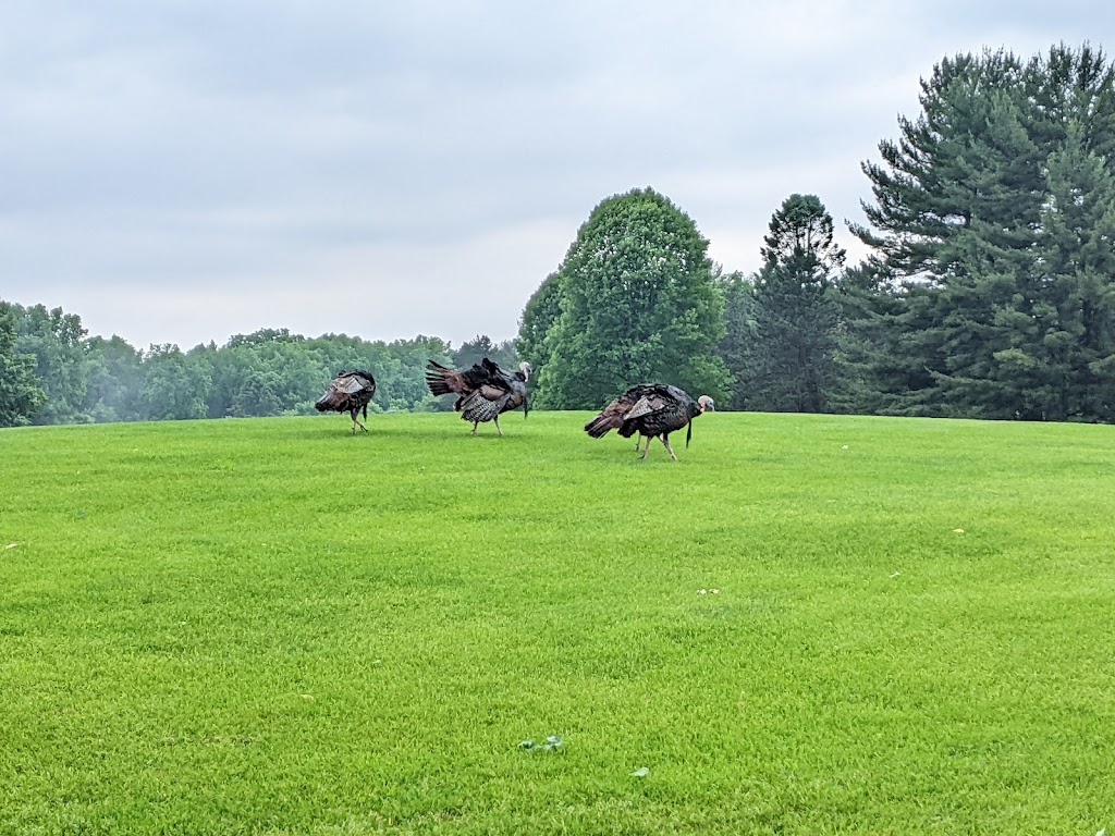 Panoramic view of a lush green golf course at Odana Hills Golf Course. Smooth