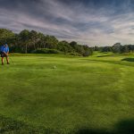 green grass with the flag in the hole.