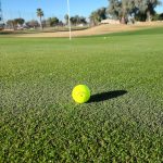 green grass with the flag in the hole.